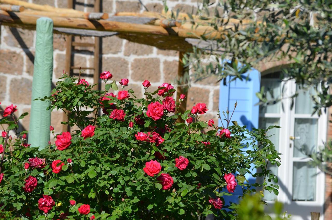 Podere Delle Rose Torre San Severo Экстерьер фото