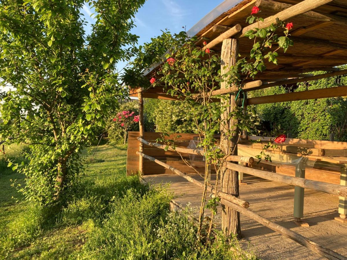 Podere Delle Rose Torre San Severo Экстерьер фото